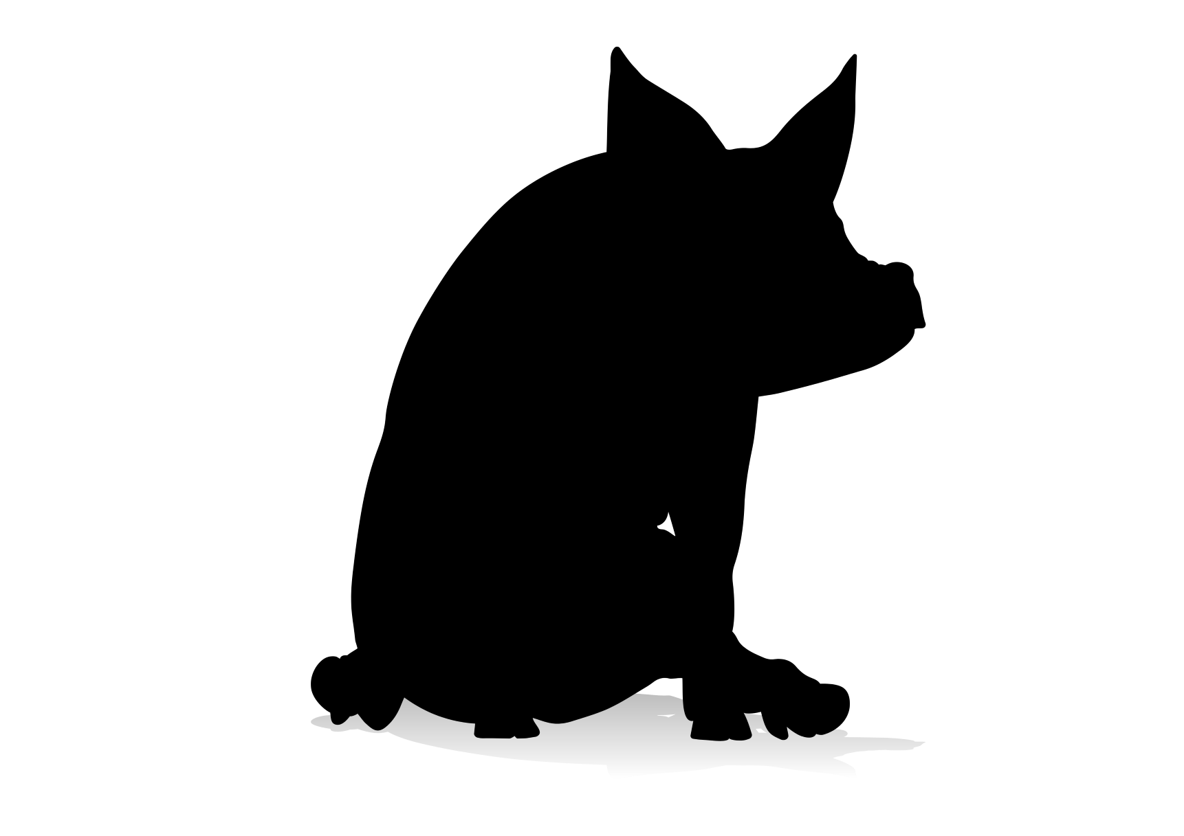 5a